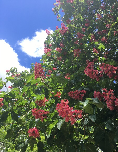 Gartensamstag